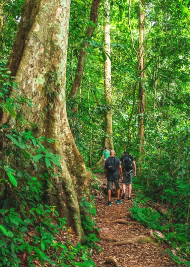 Cuc Phuong Trekking Tour 2 Days